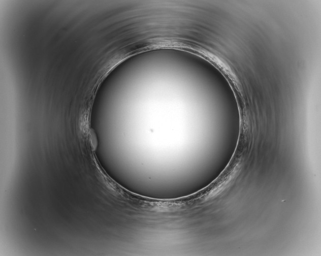 X0000094080905200711021511