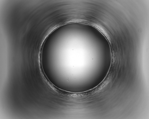 X0000094080906200711021511