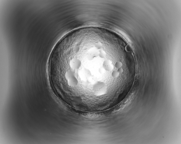 X0000094080907200711021511