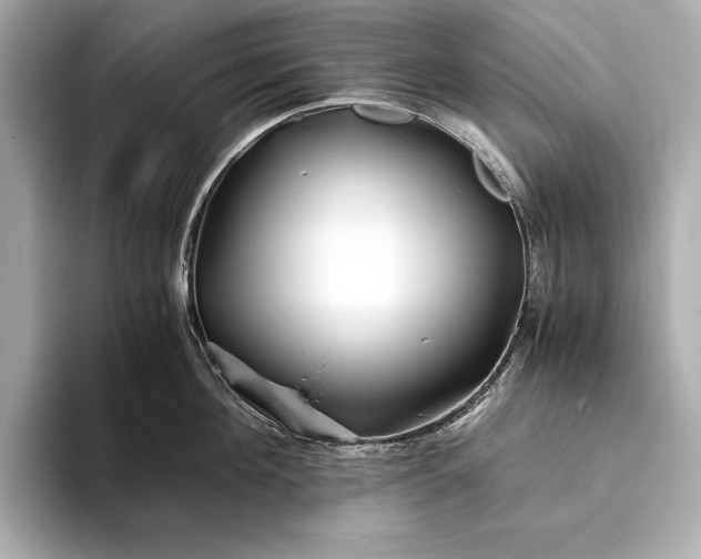 X0000094080908200711021511