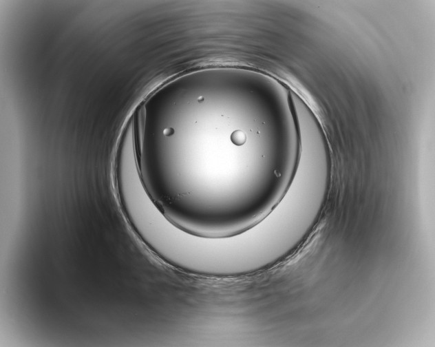 X0000094080909200711021511