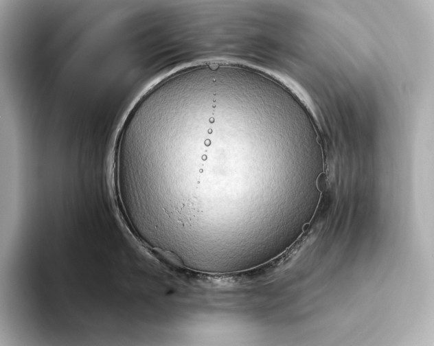 X0000094080911200711021511