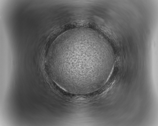 X0000094080913200711021510