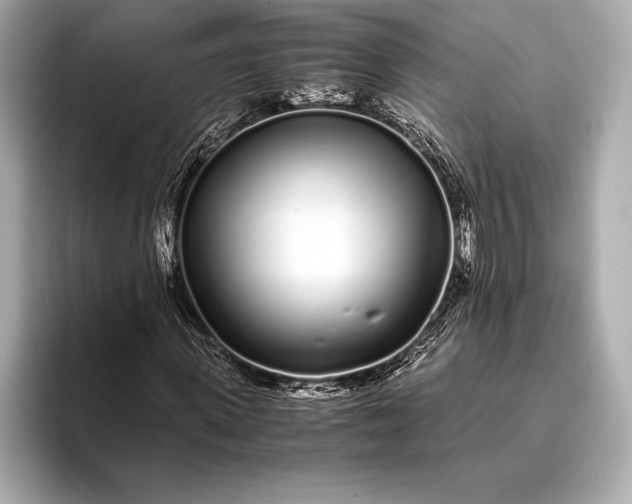 X0000094080915200711021510