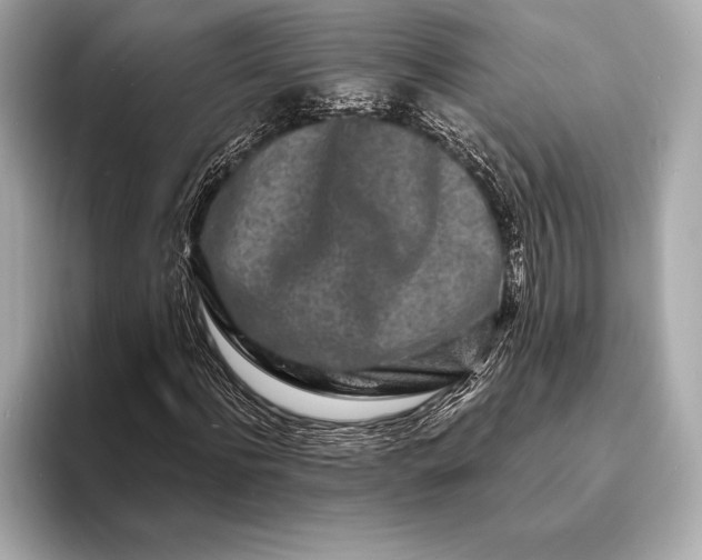 X0000094080916200711021510