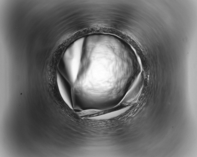 X0000094080919200711021510