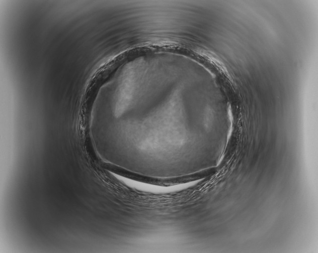 X0000094080920200711021510