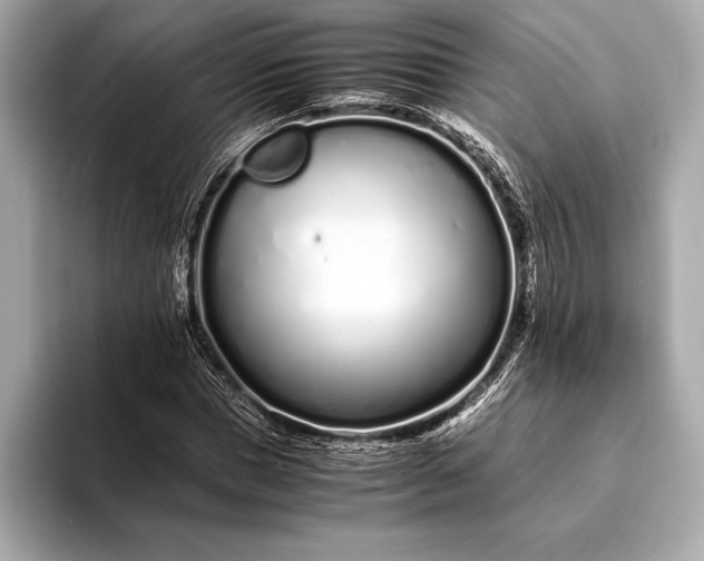 X0000094080921200711021510