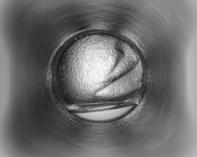 X0000094080923200711021510