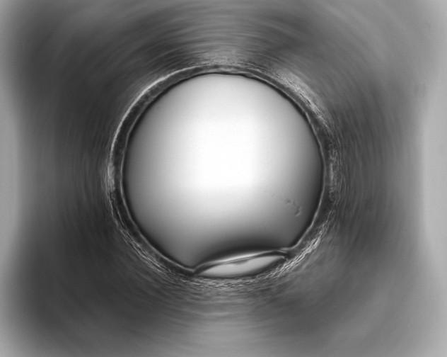 X0000094080924200711021510