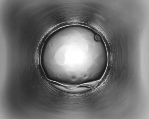 X0000094080925200711021510