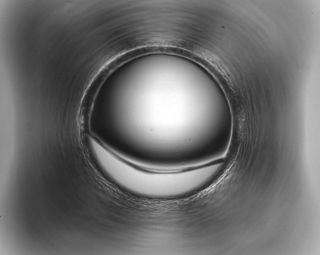 X0000094080926200711021510