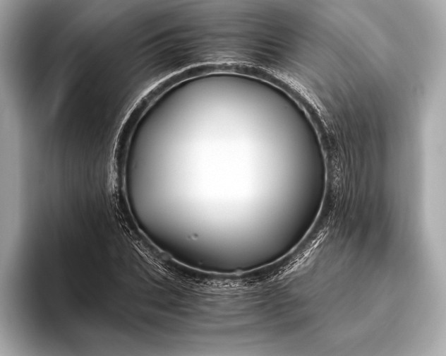 X0000094080927200711021510