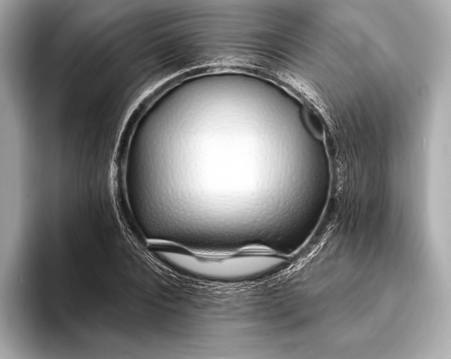 X0000094080928200711021510