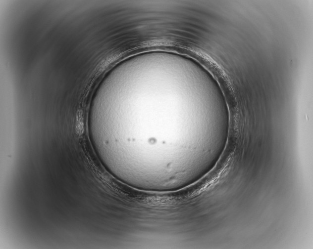 X0000094080929200711021510