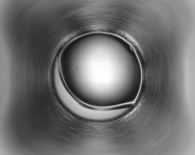 X0000094080930200711021510