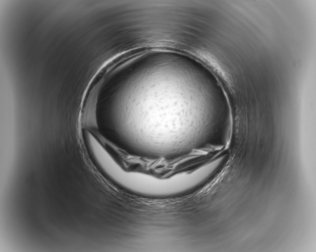 X0000094080932200711021510