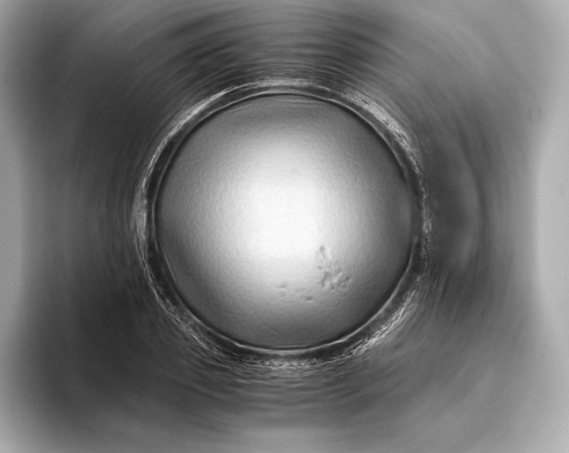 X0000094080933200711021510