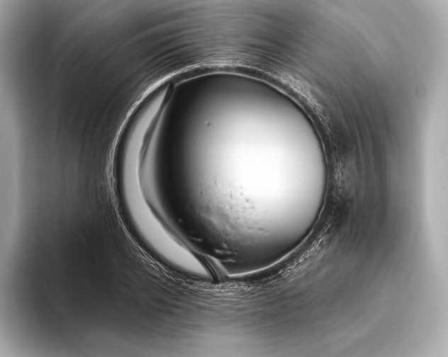 X0000094080934200711021510