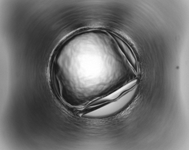 X0000094080935200711021510