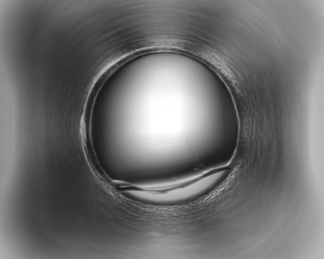 X0000094080936200711021510