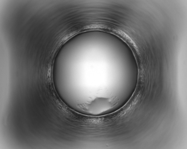 X0000094080937200711021510