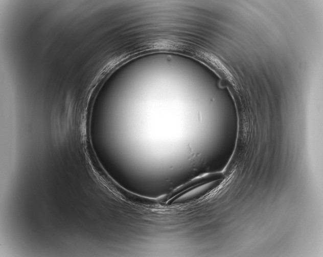 X0000094080938200711021511