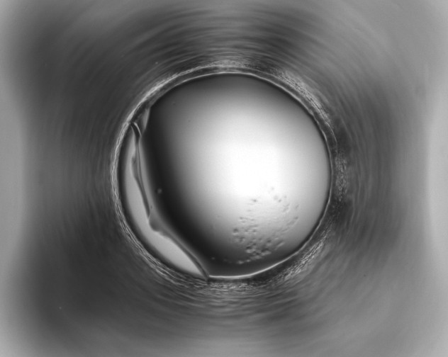 X0000094080939200711021511