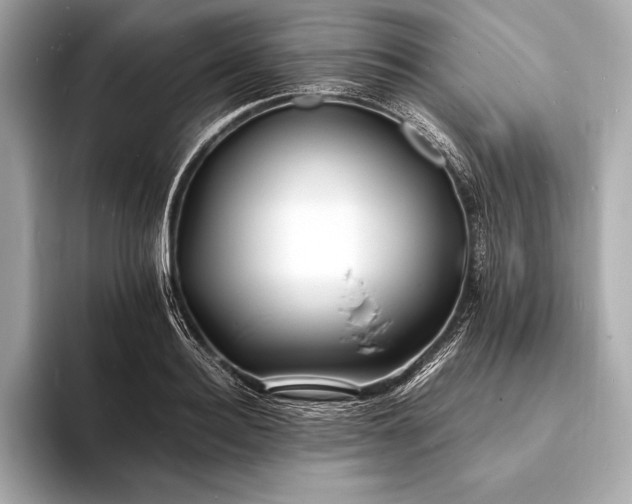 X0000094080940200711021511