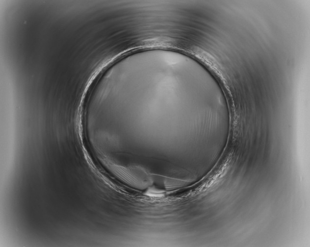 X0000094080941200711021511