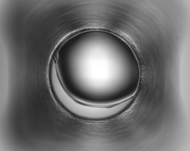 X0000094080942200711021511