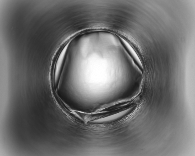 X0000094080943200711021511