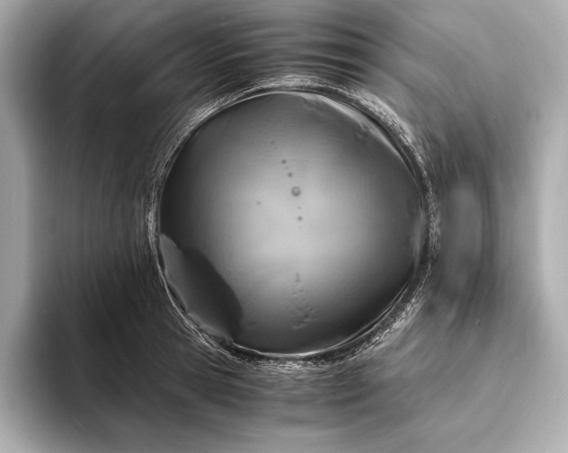 X0000094080945200711021511