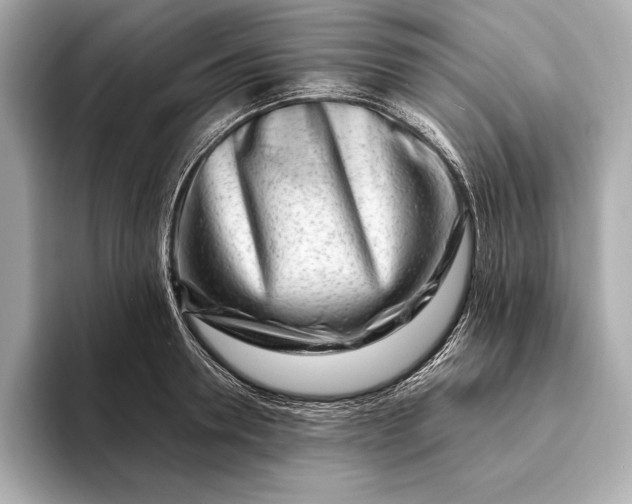 X0000094080946200711021511