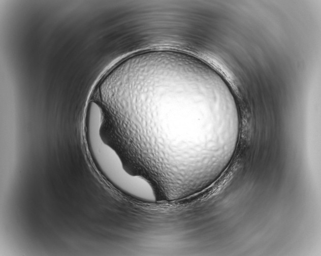 X0000094080948200711021511