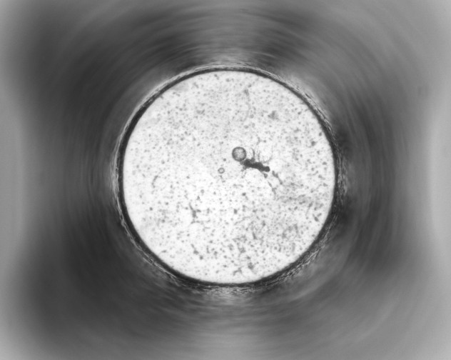 X0000094080950200711021511