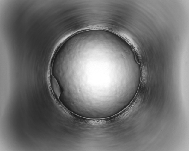 X0000094080952200711021511