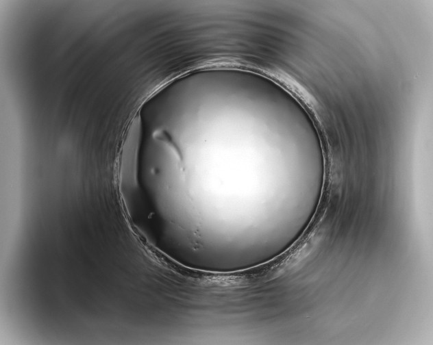 X0000094080953200711021511