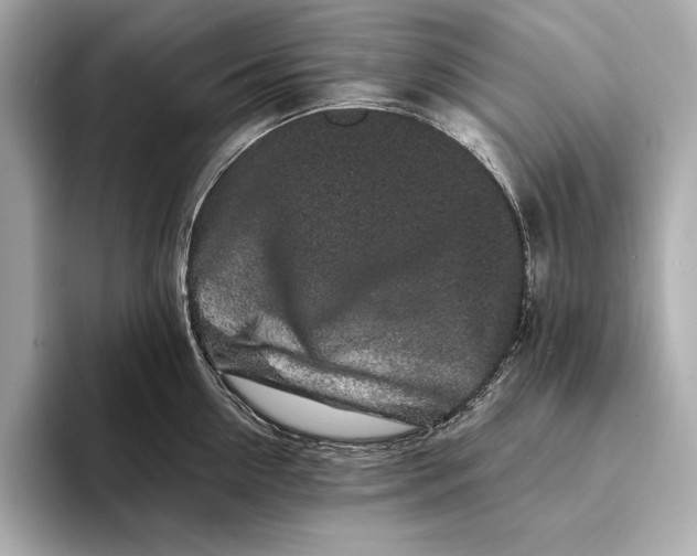 X0000094080954200711021511