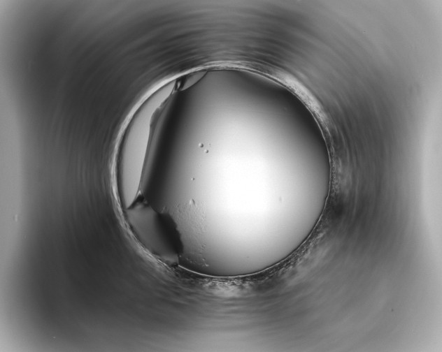 X0000094080955200711021511