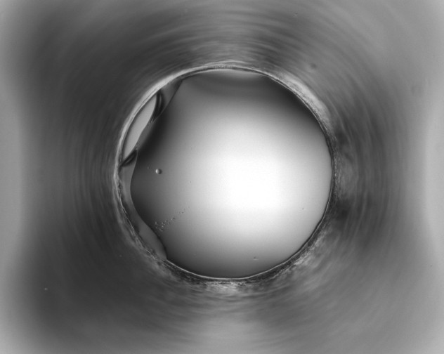 X0000094080956200711021511