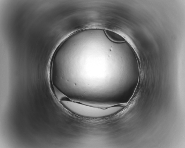 X0000094080957200711021511