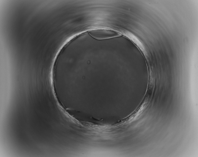 X0000094080958200711021511