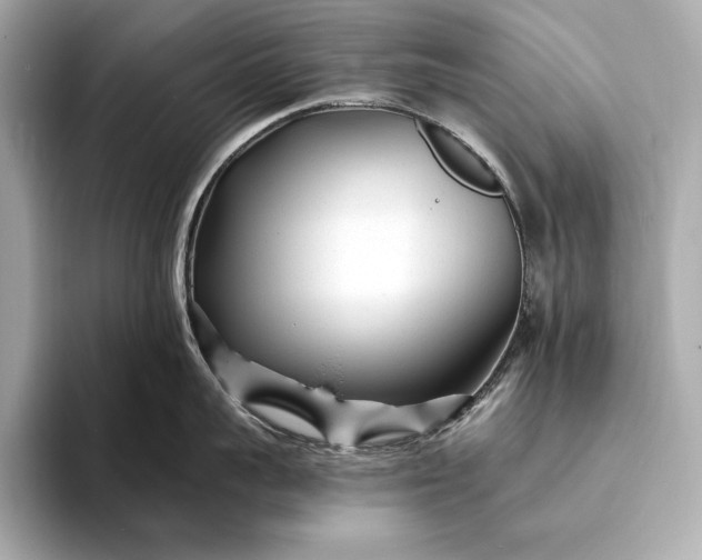 X0000094080959200711021511