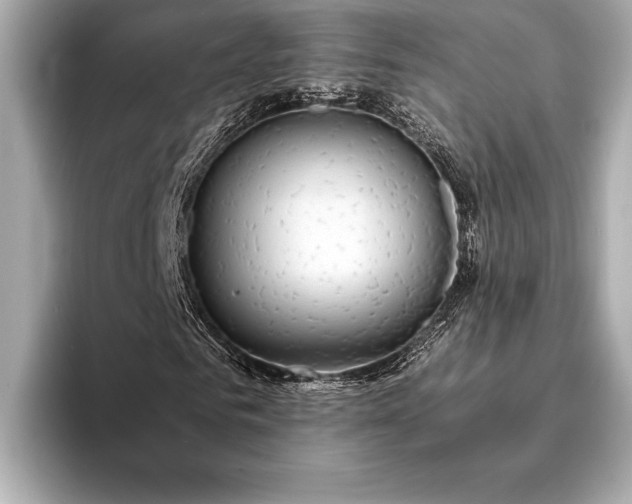 X0000094080961200711021510