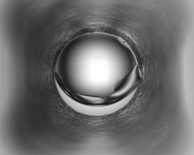 X0000094080965200711021510