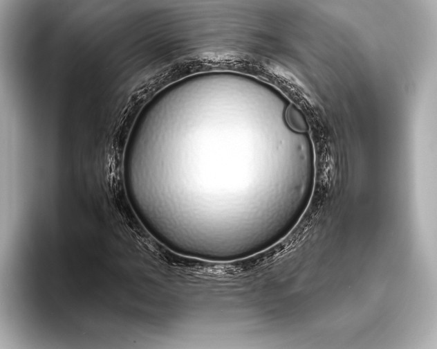 X0000094080966200711021510