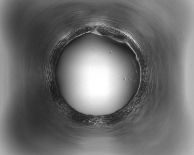 X0000094080967200711021510