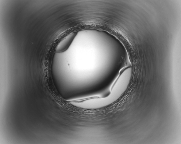 X0000094080968200711021510