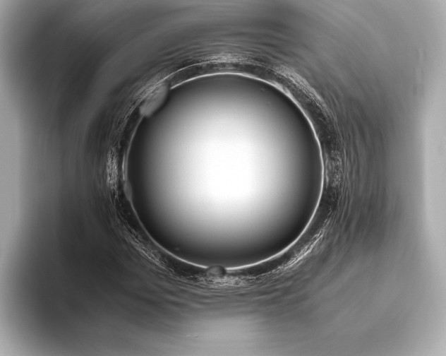 X0000094080969200711021510